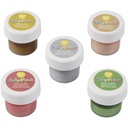 Colorantes metalicos set de 5 unidades wilton